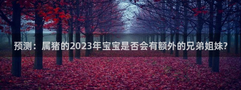 U8国际体育官网入口登录：预测：属猪的2023年宝宝是否会有额外的兄弟姐妹?