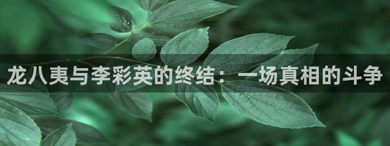 东莞市U8国际电子科技有限公司：龙八夷与李彩英的终结：一场真相的斗争