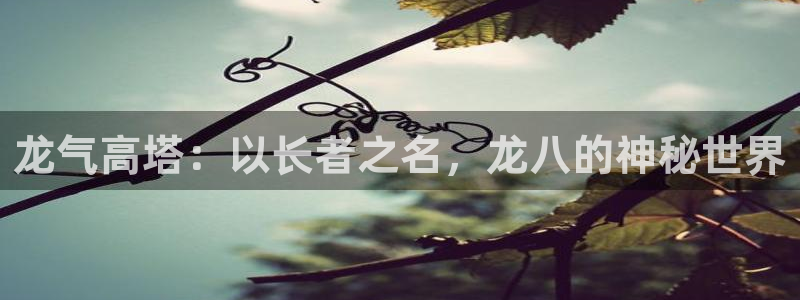 U8国际平台开户链接：龙气高塔：以长者之名，龙八的神秘世界