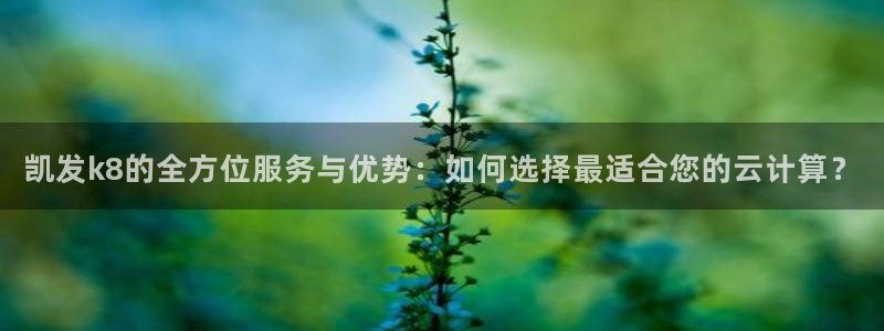 U8国际体育官网注册：凯发k8的全方位服务与优势：如何选择最适合您的云计算？