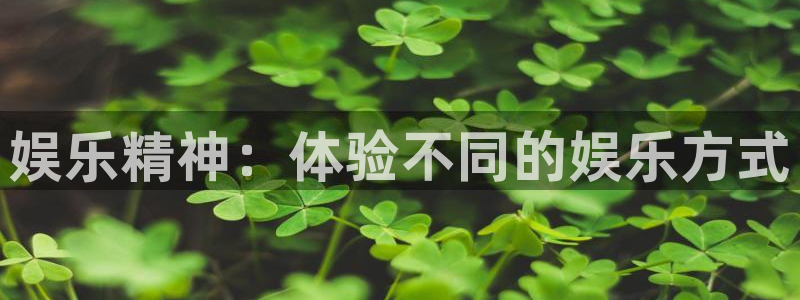 U8国际平台在线开户：娱乐精神：体验不同的娱乐方式