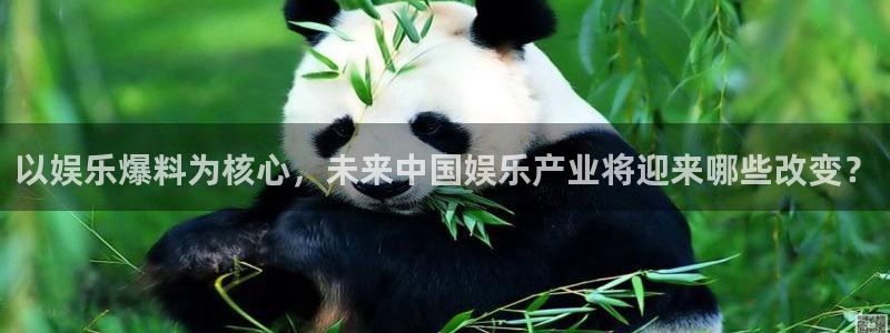 U8国际体育代理申请流程：以娱乐爆料为核心，未来中国娱乐产业将迎来哪些改变？