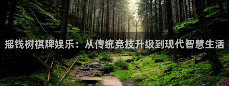 U8国际体育热门赛事有哪些：摇钱树棋牌娱乐：从传统竞技升级到现代智慧生活