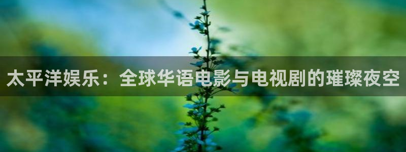 U8国际代理注册官网入口：太平洋娱乐：全球华语电影与电视剧的璀璨夜空