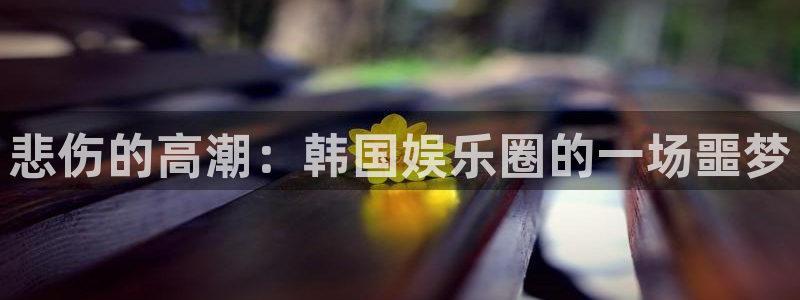 U8国际2代理注册：悲伤的高潮：韩国娱乐圈的一场噩梦