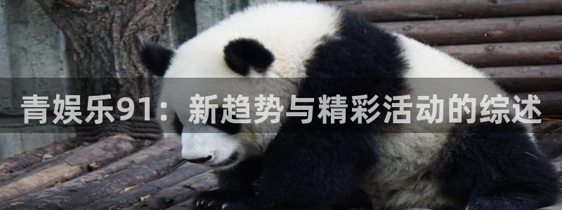 U8国际电子有限公司：青娱乐91：新趋势与精彩活动的综述
