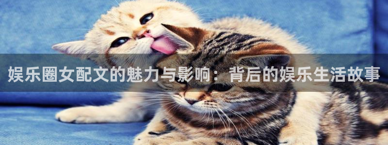 U8国际体育注册平台：娱乐圈女配文的魅力与影响：背后的娱乐生活故事