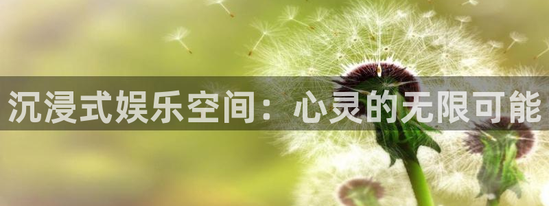 U8国际平台招商：沉浸式娱乐空间：心灵的无限可能
