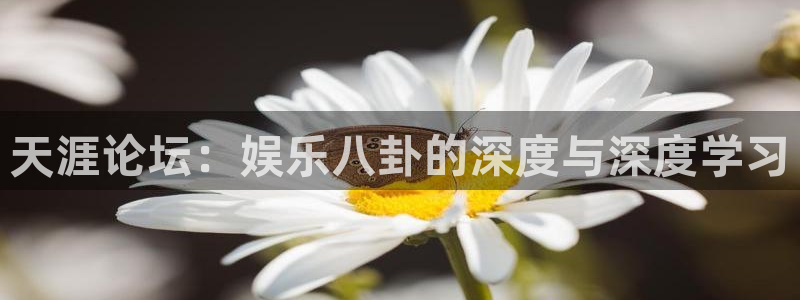 U8国际代理
