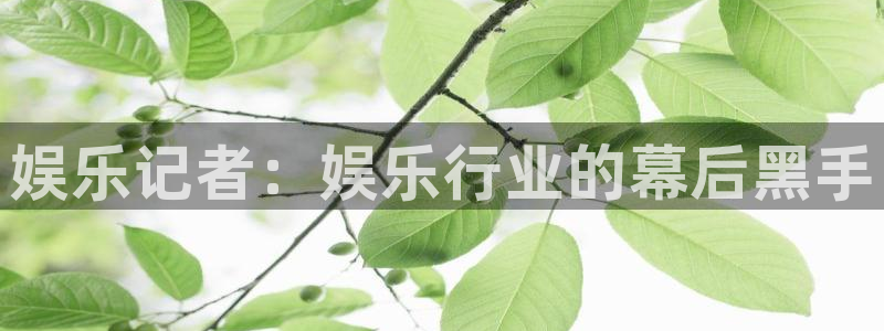 U8国际体育平台注册：娱乐记者：娱乐行业的幕后黑手