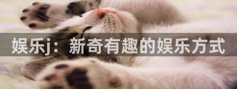 U8国际f平台注册：娱乐j：新奇有趣的娱乐方式