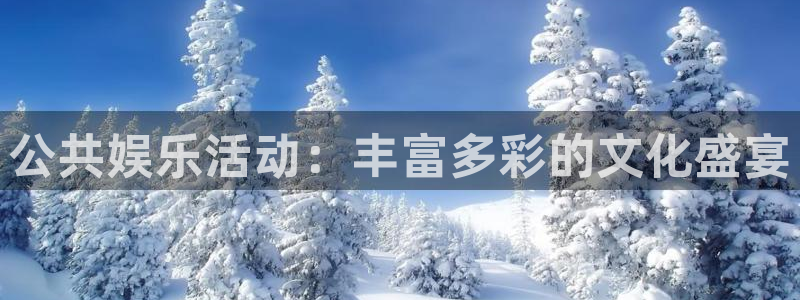 U8国际2官网：公共娱乐活动：丰富多彩的文化盛宴