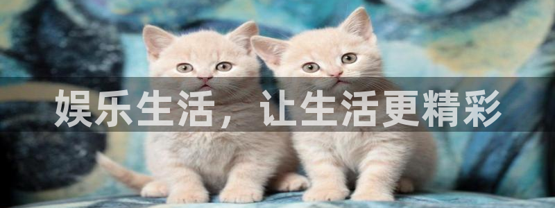 U8国际4注册：娱乐生活，让生活更精彩