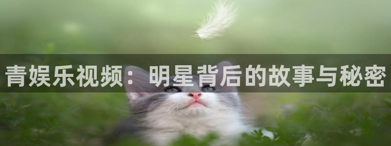 U8国际：青娱乐视频：明星背后的故事与秘密