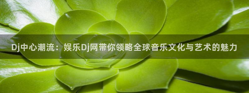 U8国际f凯捷注册：Dj中心潮流：娱乐Dj网带你领略全球音乐文化与艺术的魅力