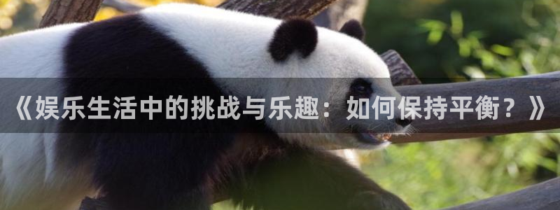 U8国际4平台：《娱乐生活中的挑战与乐趣：如何保持平衡？》
