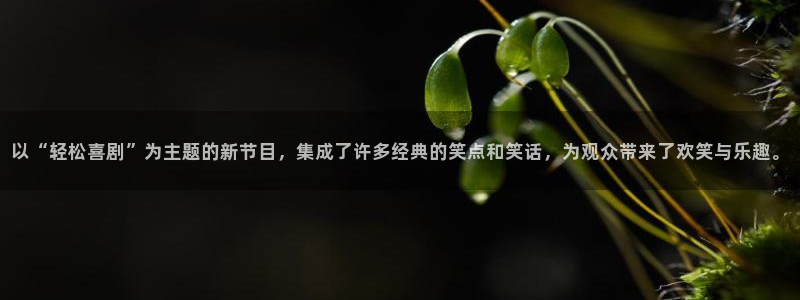 U8国际体育2：以“轻松喜剧”为主题的新节目，集成了许多经典的笑点和笑话，为观众