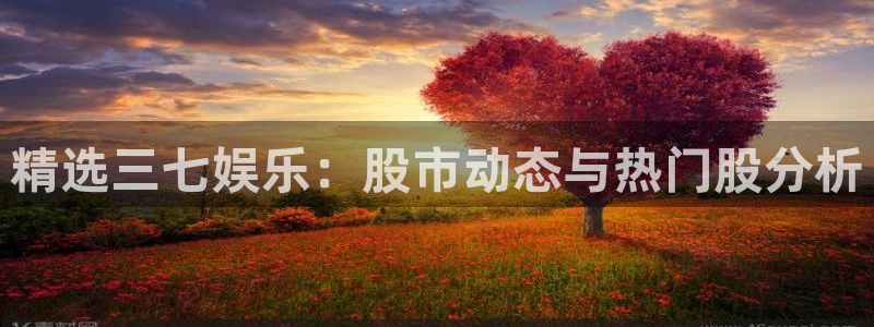 U8国际：精选三七娱乐：股市动态与热门股分析