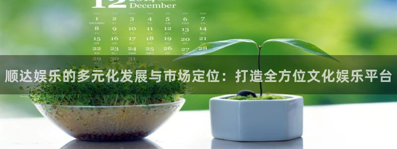 U8国际凯捷平台：顺达娱乐的多元化发展与市场定位：打造全方位文化娱乐平台