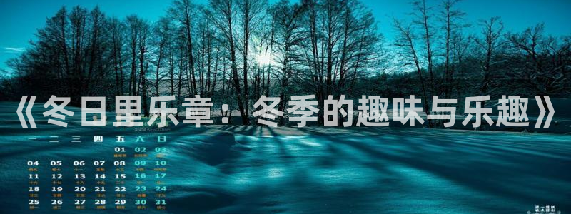 U8国际3登陆：《冬日里乐章：冬季的趣味与乐趣》