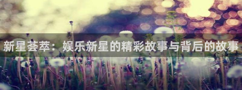 U8国际4平台注册：新星荟萃：娱乐新星的精彩故事与背后的故事