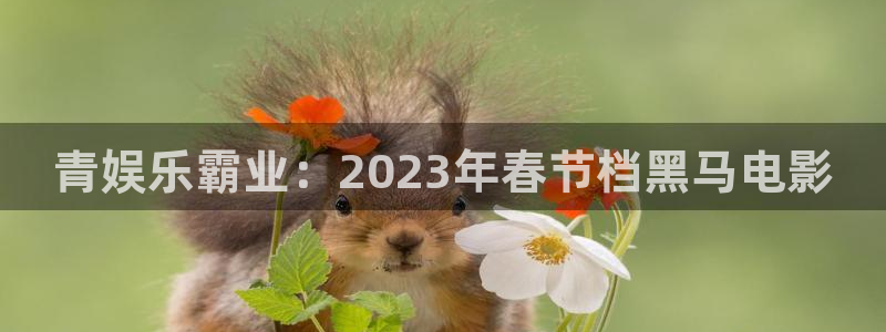 U8国际k：青娱乐霸业：2023年春节档黑马电影