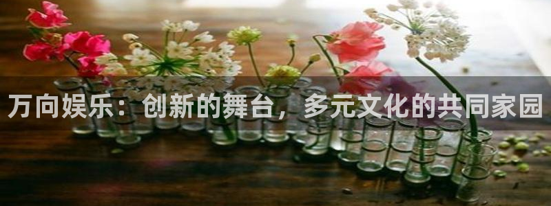 U8国际3平台登录注册：万向娱乐：创新的舞台，多元文化的共同家园