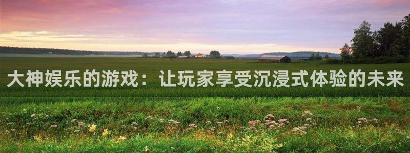 U8国际登录界面入口：大神娱乐的游戏：让玩家享受沉浸式体验的未来