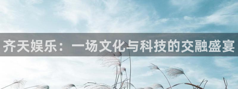 U8国际体育凯捷平台主管：齐天娱乐：一场文化与科技的交融盛宴